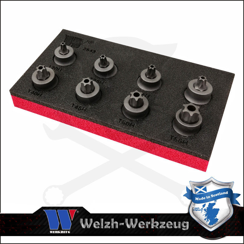 Rátűzőkulcs készlet 3/8" Torx T10H-T55H mm -alacsony- Welzh