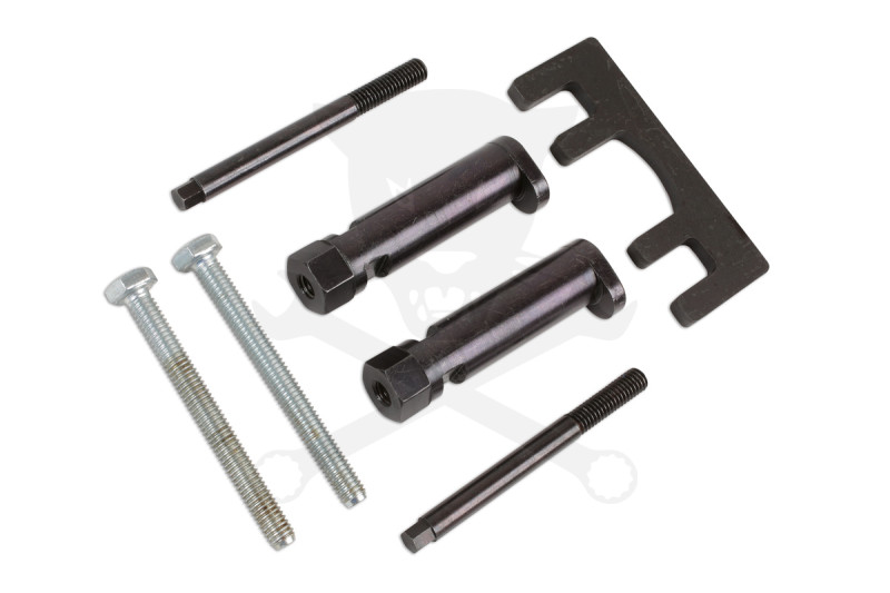 Porlasztó kiszerelő készlet Jaguar, Land/Range Rover 2.7-V6/3.6-V8 -TS20