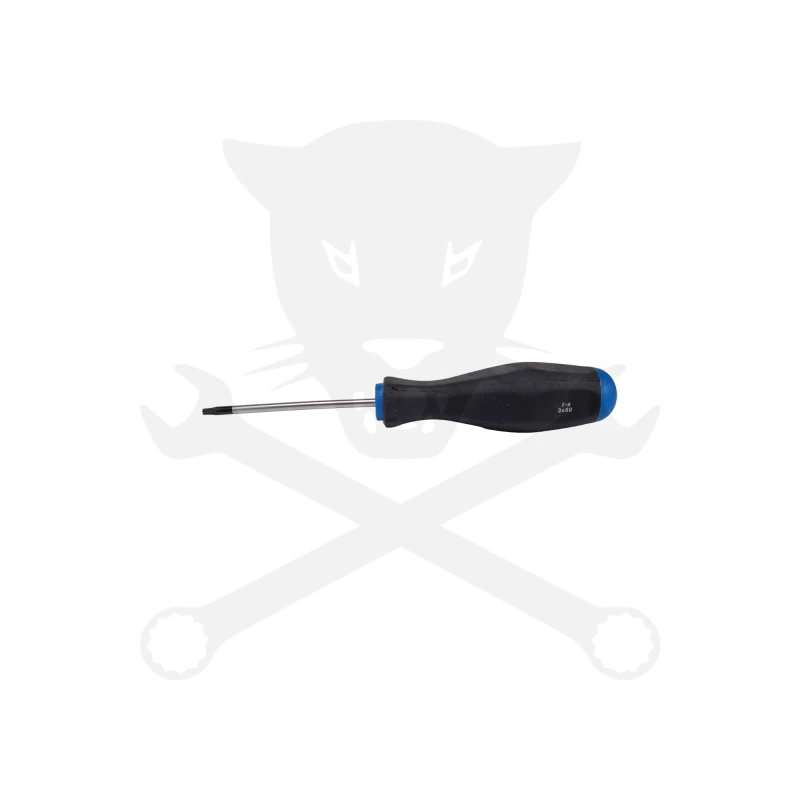 Csavarhúzó torx - lyukas - T9 - 60 mm - BGS