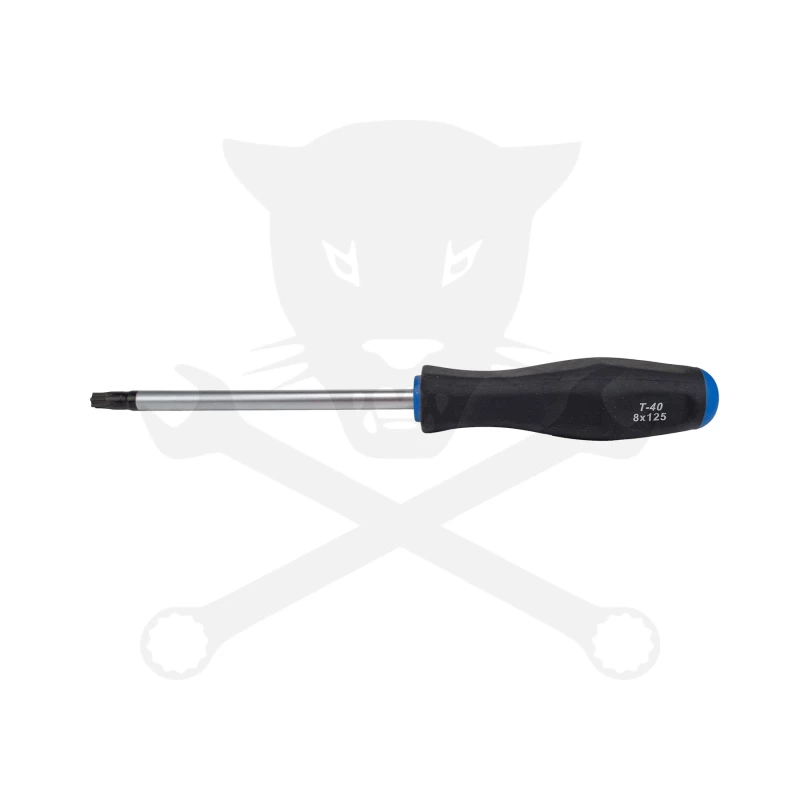 Csavarhúzó torx - lyukas - T40 - 125 mm - BGS