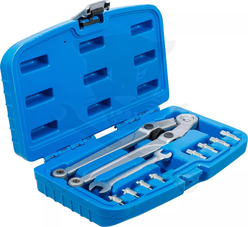 Körmöskulcs, oldalcsapos készlet - cserélhető két csapos: 2.5 - 9.0 mm BGS